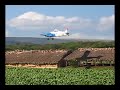 A Day In The Life Of A Cropduster A Day In The Life Of A Cropduster