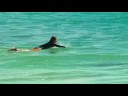 Video of Coolangatta Sands Hostel