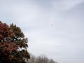 Stanberry Park Pumpkin Smash