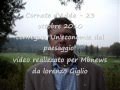 Guarda video