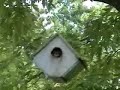 Birdhouse