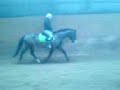 Polinezja 1.03.2008