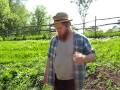 Homestead Series Building A Potato hiller