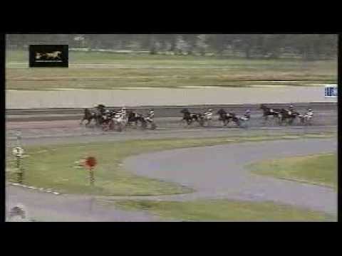 racing results cheltenham