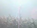Trivium -A Gunshot To The Head Of Trepidation (live)