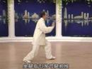 tai chi 24 forms part 8 b
