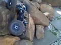 BACK YARD ROCK CRAWLING