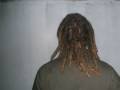 natural rasta - dreadlocks - dread - rastas - reggae - andres rolando - marihuana -