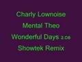 Charly Lownoise  Mental Theo Wonderful Days 2.08 Showtek