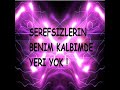 Çılgın biraderler