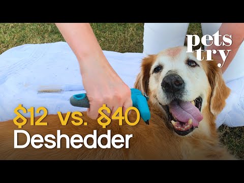 Pets Try: $12 Deshedder Vs. $40 Deshedder