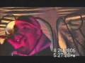 videos de calvo