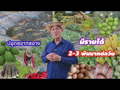 ทำครั้งเดียวแล้วเป็นเจ้าของตลาด มีรายได้ไม่ขาด2-3พันบาทต่อวัน