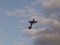 YAK 54 25% em Santa Maria Torch 40cc