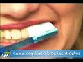 Cómo cepillarse bien los dientes Cómo cepillarse bien los dientes