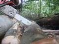 Holz machen (Kostenloser Bildschirmschoner)