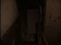 videos de mgła