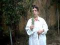 Will Nye the Sicence Guy, Pehristoric Plants