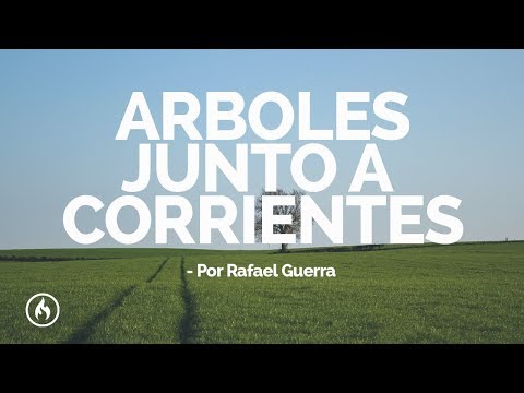 Ver video
