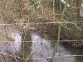 Wandeling Gulpdal deel 1