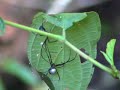 Orinoco.D�a9.CO3