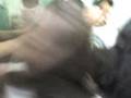 Ultimãã aula  do ano