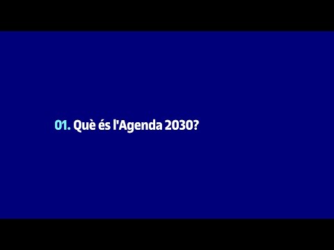 Què és l'Agenda 2030?