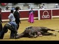 olé   antitaurino by athanator 