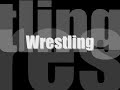 may 25, 2008 pride of wrestling 