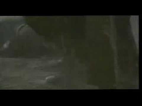 ハリウッドバージョンhokutonoken