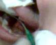 chucky el perforado