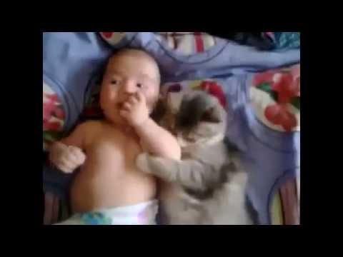 Gatto e bambino… si fanno le fusa!