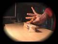 Short fingerboard movie