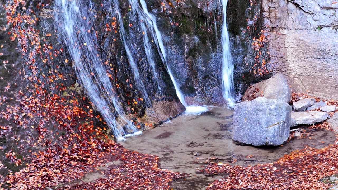 Ernesto Cortazar. Tale of an Errant soul.