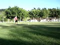 EU cobrando falta a la Petkovic =D