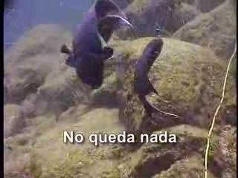 Loreto Marine Park Full of Nets : : ...