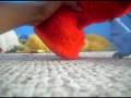 l s b d episde 260 seaon 5 episode 10