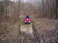 ivos TRX500 ivos TRX500