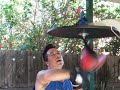 SUPERDIVEMASTER CONDITIONING WORKOUT