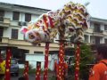 lion dance sabah 2011