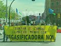 Entrevista Greenpeace Destrucción a Toda Costa 2008