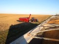 Case IH p� Youtube