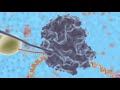 dna-psa.html