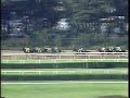 Swale - 1984 Belmont Stakes