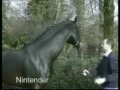 Nintender