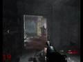 videos de COD WW zombie 21 rounds survived