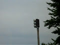 better version of the last one I took this one was on tod ave in lordstown oh