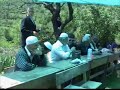 Sinop Boyabat Emiroglu K�y� Ke?kek G�r�nt�leri 2