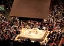 Sumo