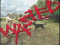 Beer City - 'Wasted' trailer